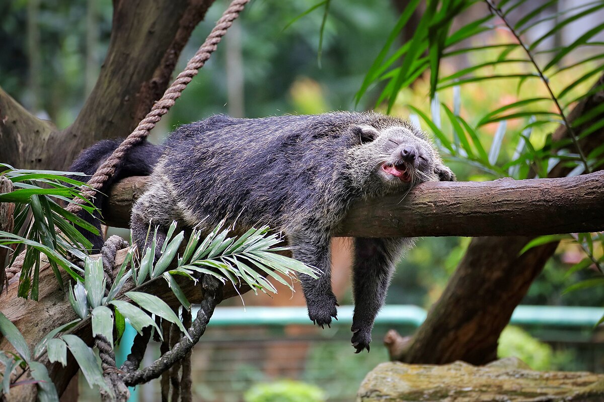 Sleeping_well-Jimmy-Salim.jpg