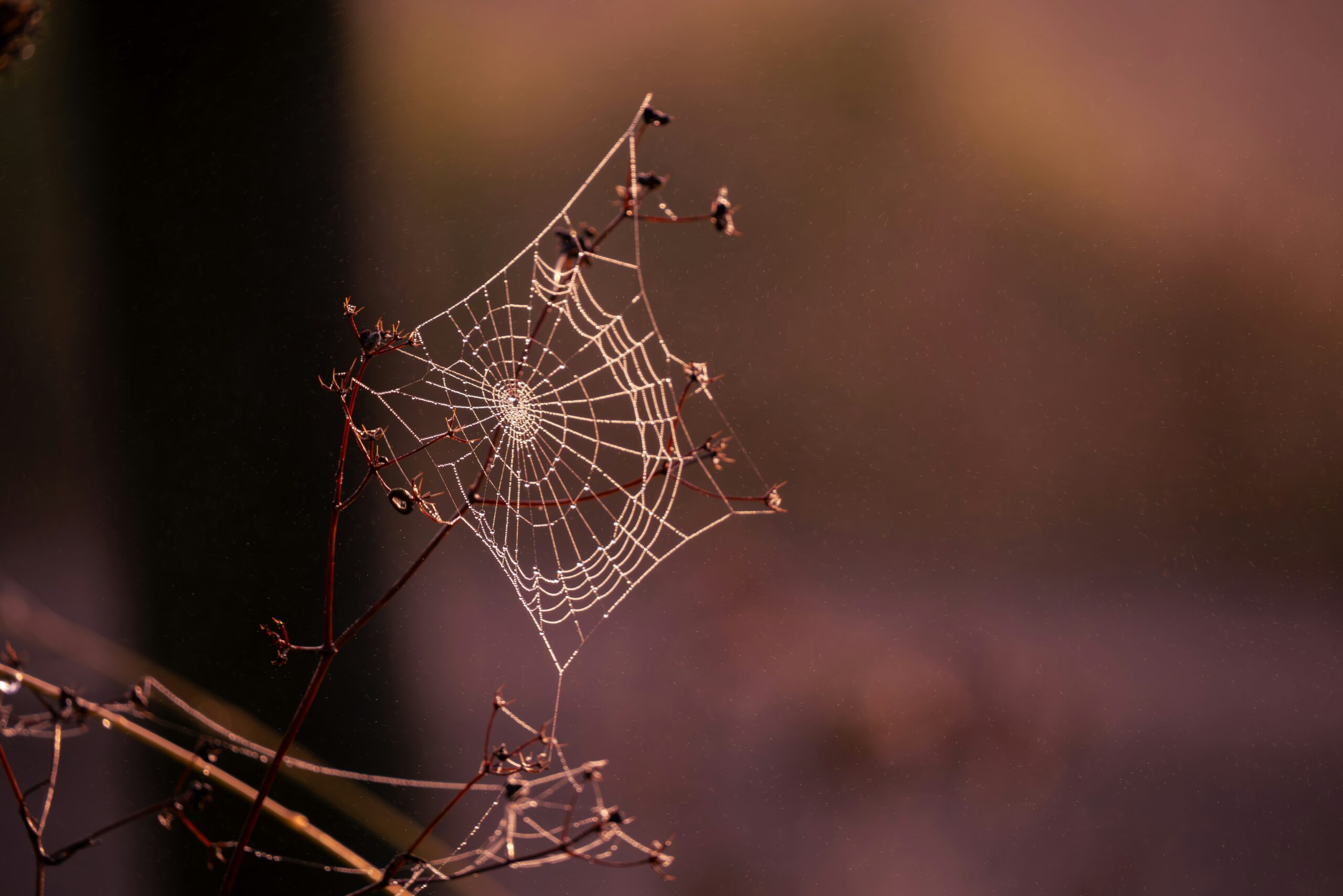 Image by Katelyn G on Unsplash