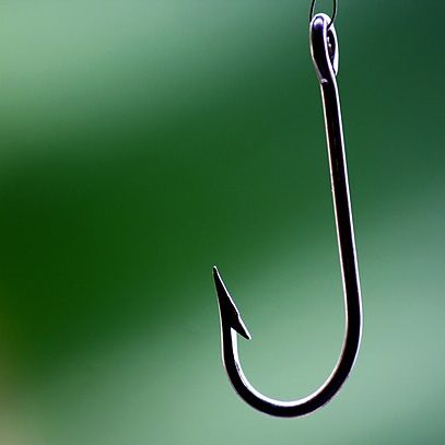 Fish-hook