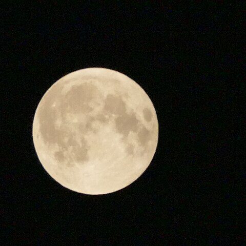 Pleine_lune_revenue,_brillantissime_-_Full_moon_back,_shining_brightly_(43660805422)