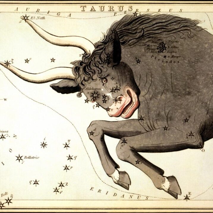 constellation_Taurus