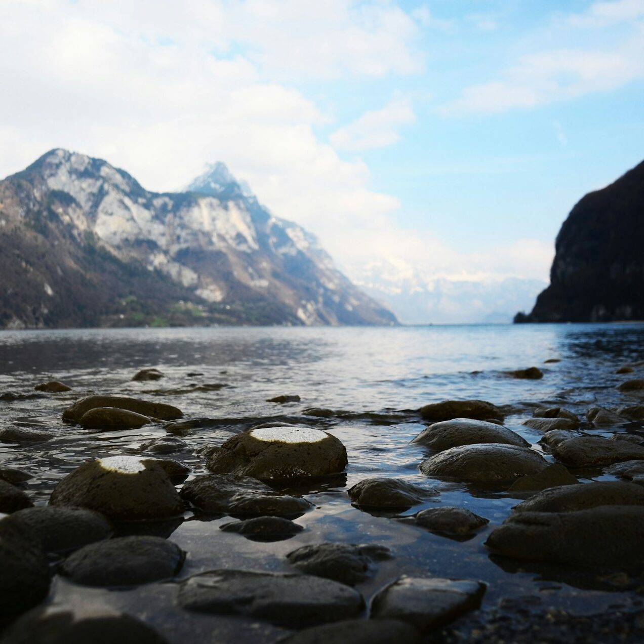 daniel-von-aarburg-MOa3jcR6fKs-unsplash