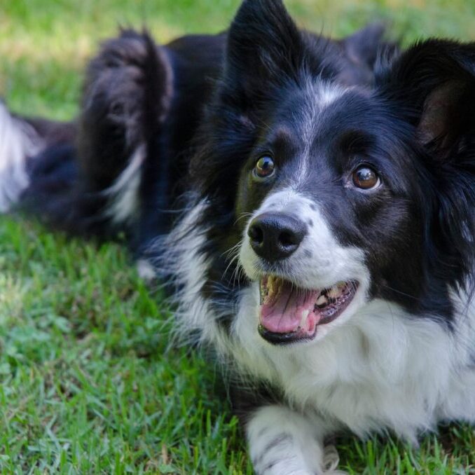 robin-jonathan-deutsch-w7lH4jLh9V0-unsplash